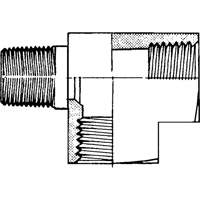 T&eacute;s m&acirc;les-femelles Kelford
