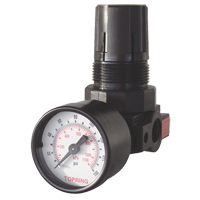 Mini r&eacute;gulateurs, 1/4" NPT, PSI max. de 165 PSI, Modulaire Kelford