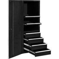 EX Professional Series Tool Cabinet, 4 Drawers, 24" W x 31" D x 63-3/8" H, Black TEP597 | Kelford