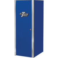 EX Professional Series Tool Cabinet, 4 Drawers, 24" W x 31" D x 63-3/8" H, Blue TEP598 | Kelford