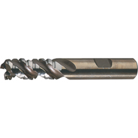 PM Plus Single End Roughers, Powder Metal, 3-Flute, Centre Cutting, Square End, 3/4" Dia. Kelford