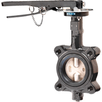 Butterfly Valves - Series BFV, 2" Pipe, 225 PSI Kelford