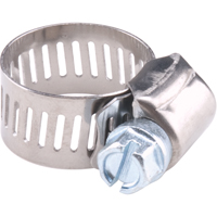 Hose Clamps - Stainless Steel Band & Zinc Plated Screw, Min Dia. 1/2", Max Dia. 1-1/8" TLY182 | Kelford