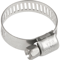Hose Clamps - Stainless Steel Band & Screw, Min Dia. 0.316, Max Dia. 7/8" TLY284 | Kelford