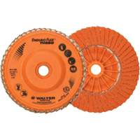 Flap Discs