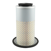 PA3833 &eacute;l&eacute;ment de filtre &agrave; air Kelford
