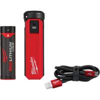 Redlithium™ USB Charger & Power Source Kit, 4 V, Lithium-Ion UAG279 | Kelford