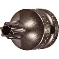 Socket Bit, Torx&reg; Tamper, 8 x 3/4" L, 1/4" Drive Kelford