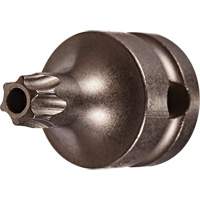 Socket Bit, Torx&reg; Tamper, 25 x 1" L, 3/8" Drive Kelford