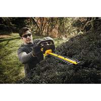 Taille-haie sans fil Max, 22", 20 V, &agrave; pile Kelford