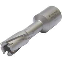 Core Cut Annular Cutter with Weldon Shank, 12 mm Diameter, Carbide, 30 mm Depth of Cut, 3/4" Shank Kelford