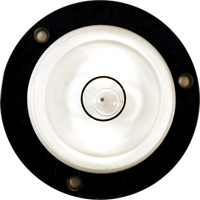 Bull's-Eye Level Kelford