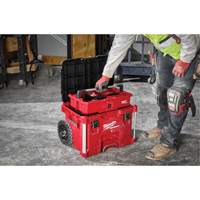Boîte &agrave; outils sur roues PACKOUT, 18" x 22" x 19-1/2", Noir/Rouge Kelford