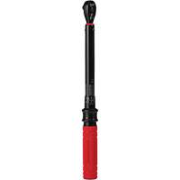 Cl&eacute; dynamom&eacute;trique, &agrave; cliquer, Entraînement 3/8" carr&eacute;, 20 - 100 lb-po/27,1 - 135,6 Nm Kelford