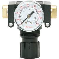 D&eacute;tendeur &agrave; piston en ac&eacute;tal MODULAIR 200, 1/4" NPT, PSI max. de 150 psi, Canalisation/Modulaire Kelford