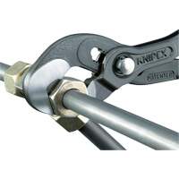Pince Raptor, 10" Kelford