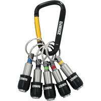 5-Piece Keyring Bit Holder Set Kelford