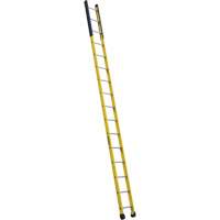 Single Manhole Ladder, 16', Fibreglass, 375 lbs., CSA Grade 1AA VD464 | Kelford