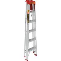 Step Ladder with Paint Tray, 6', Aluminum, 200 lbs. Capacity, Type 3 Kelford