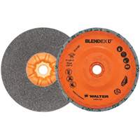Blendex U Finishing Cup Disc, 5" Dia., Fine Grit, Silicon Carbide Kelford
