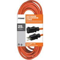 Vinyl Extension Cord, Outdoor, SJTW, 14/3 AWG, 15 A, 25' Kelford