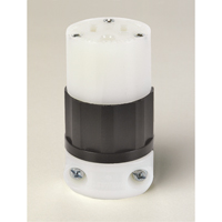 Grounding Straight Blade Connector, 5-15R, Nylon Kelford