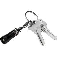 Lampes de poche Nano Light Kelford