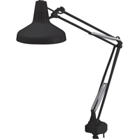 Heavy-duty Combination Task Light, 22/60 W, Fluorescent/Incandescent, 45" Neck, Black Kelford