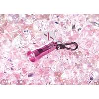 Lampes de poche Nano Light Kelford