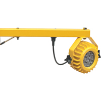 Heavy-Duty Loading Dock Lights, 24" Arm, 300 W, LED Lamp, Metal Kelford