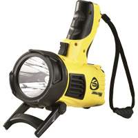 Waypoint&reg; Pistol Grip Spotlights, LED, 550 Lumens, C Batteries Kelford