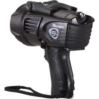Waypoint&reg; Pistol Grip Spotlights, LED, 550 Lumens, C Batteries Kelford