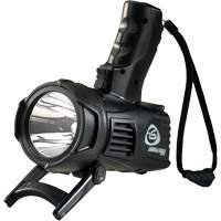 Waypoint&reg; Pistol Grip Spotlight, LED, 550 Lumens, C Batteries Kelford