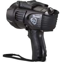 Waypoint&reg; Pistol Grip Spotlight, LED, 550 Lumens, C Batteries Kelford