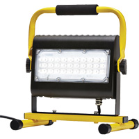 Flood Light, LED, 50 W, 4800 Lumens, Aluminum Housing Kelford