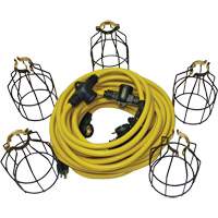LED String Lights with Connector, 5 Lights, 50' L, Metal Housing XI324 | Kelford
