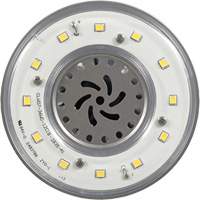 Ultra LED™ High Lumen Lamp, HID, 36 W, 4800 Lumens, Mogul Base XI556 | Kelford
