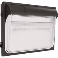 TWX3 Wall Luminaire, LED, 347 V, 14" H x 18" W x 5" D Kelford