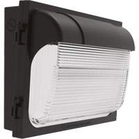 TWX Wall Luminaire, LED, 480 V, 9 W - 54 W, 14" H x 18" W x 5" D Kelford