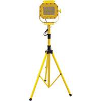 Explosion Proof Floodlight with Tripod, LED, 40 W, 5600 Lumens, Aluminum Housing Kelford
