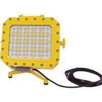 Explosion Proof Floodlight with Floor Stand, LED, 40 W, 5600 Lumens, Aluminum Housing XJ043 | Kelford