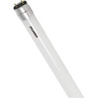 SubstiTUBE<sup>®</sup> Frosted Glass LED Bulb, 12 W, T8, 5000 K, 48" L XJ097 | Kelford