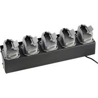 Chargeur de batteries de lampe de poche Survivor X Kelford