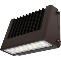 Wall Pack Light Fixture, LED, 120 V, 80 W, 6.5" H x 9.3" W x 14.4" D Kelford