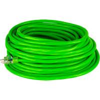Industrial Extension Cord, All-Weather, SJTW, 10/3 AWG, 15 A, 50' Kelford