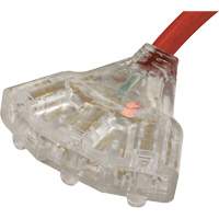 Generator Extension Cord with Tritap, STW, 10 AWG, 3 Outlet(s), 25' Kelford