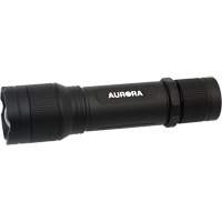 IP67 Flashlight, LED, 2000 Lumens, Rechargeable Batteries Kelford