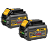 1 Battery